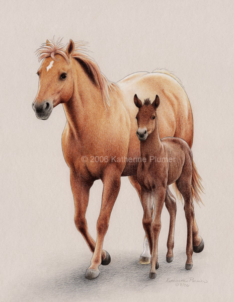 Mare and Foal drawing