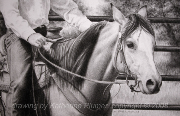 horse drawing by Katherine Plumer