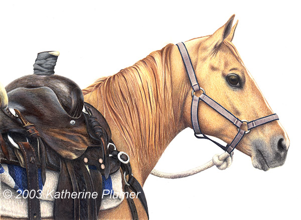 colored pencil horse drawing