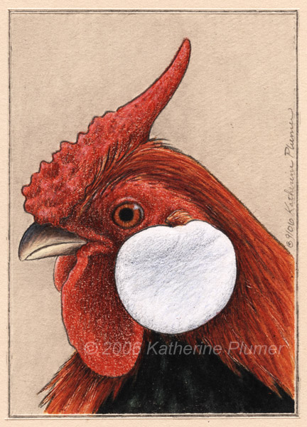 Rosecomb Chicken Rooster Art Drawing