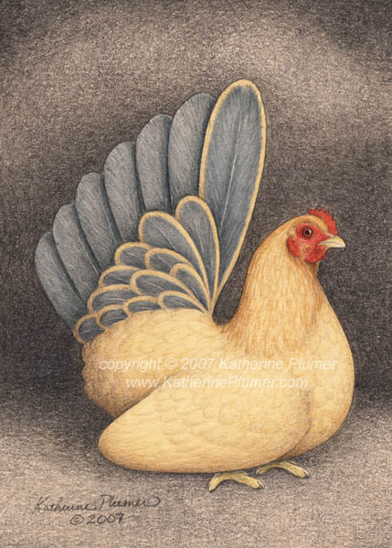 Blue Tailed Buff Japanese Bantam art drawing