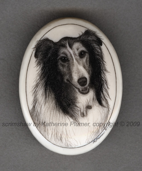 scrimshaw dog portrait