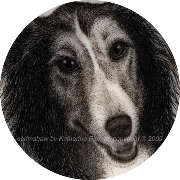 scrimshaw dog portrait (closeup!)